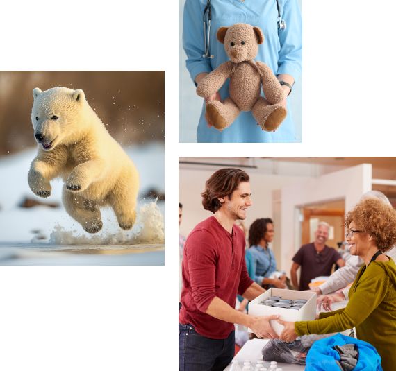 On this image you see a picture of a polarbear, a doctor holding a stuffed animal and a young man giving a box with canned food to a woman